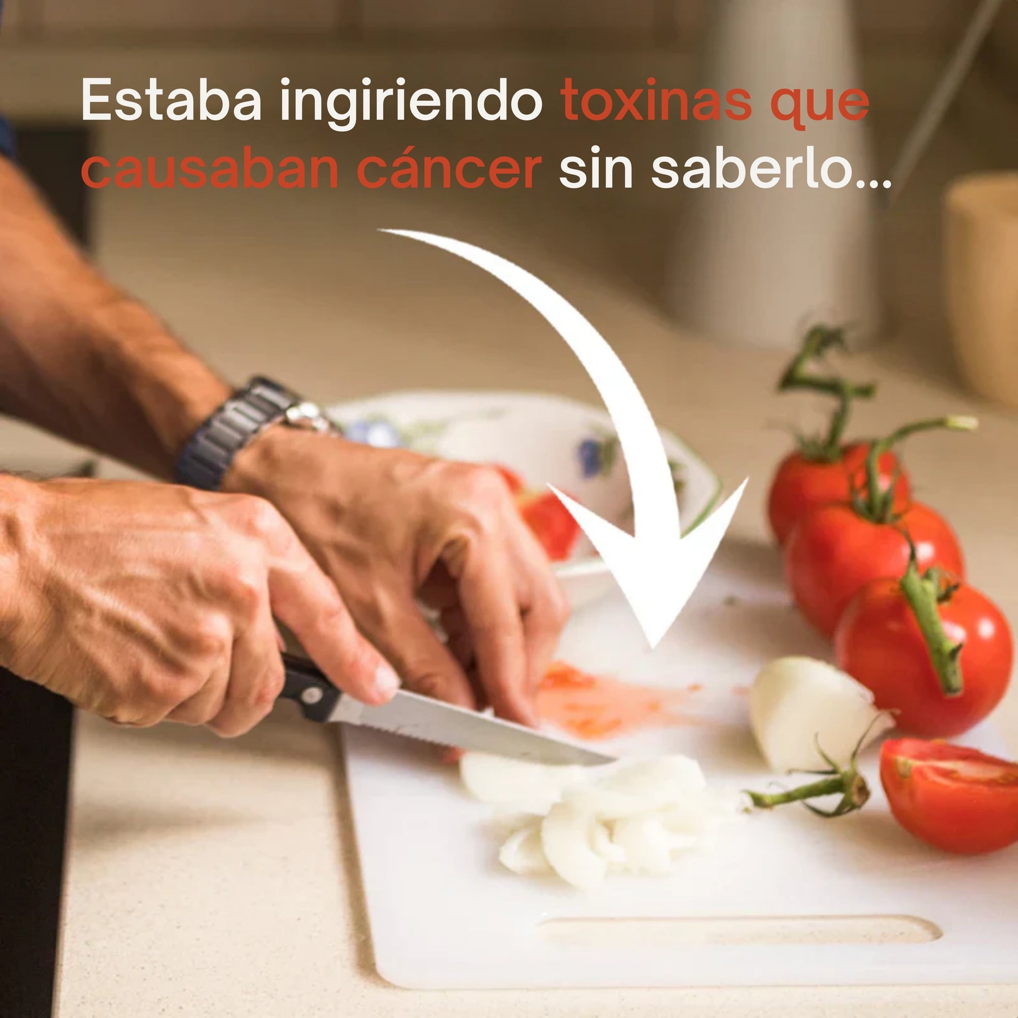 Dónde comenzó todo…